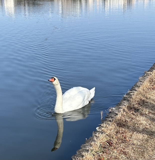 IMG_2662.jpeg