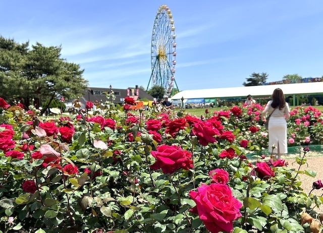 IMG_4220.jpeg