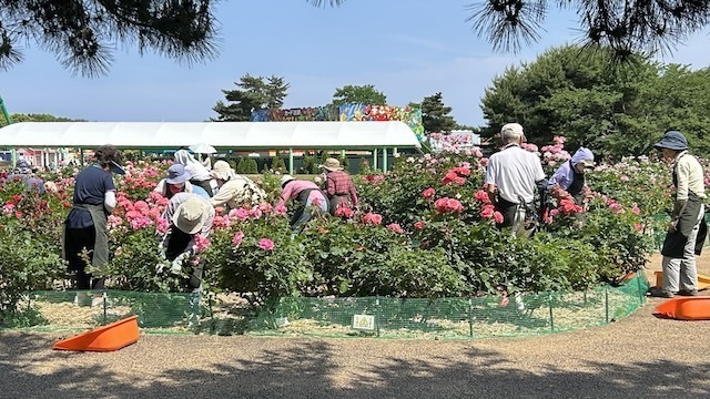 IMG_4440.jpeg