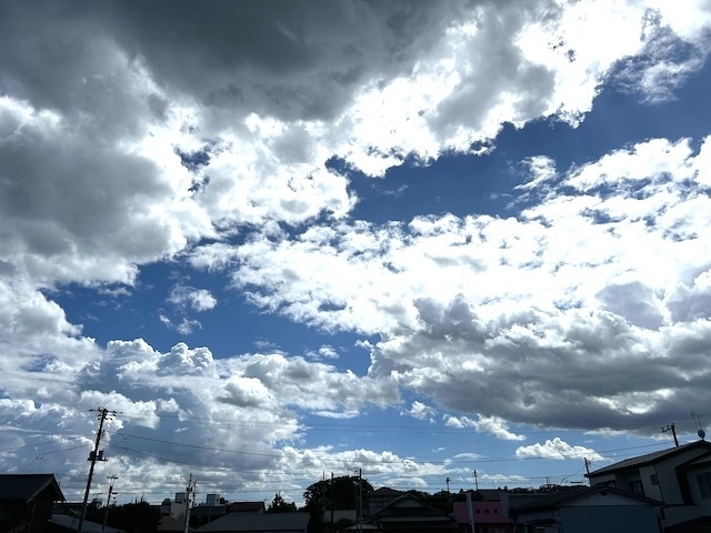 IMG_5865.jpeg
